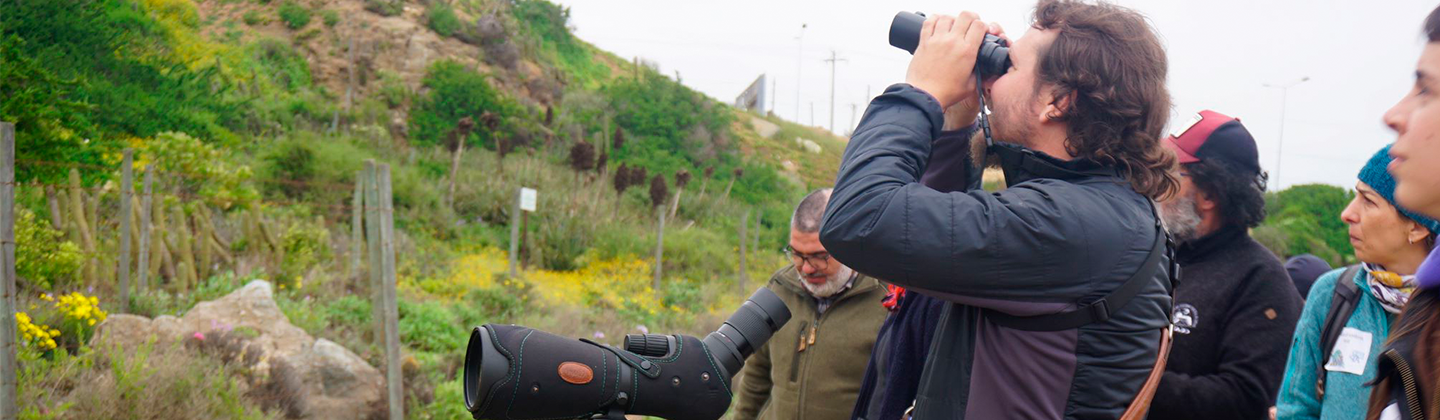 visitante de cala observando las aves de la laguna conchali